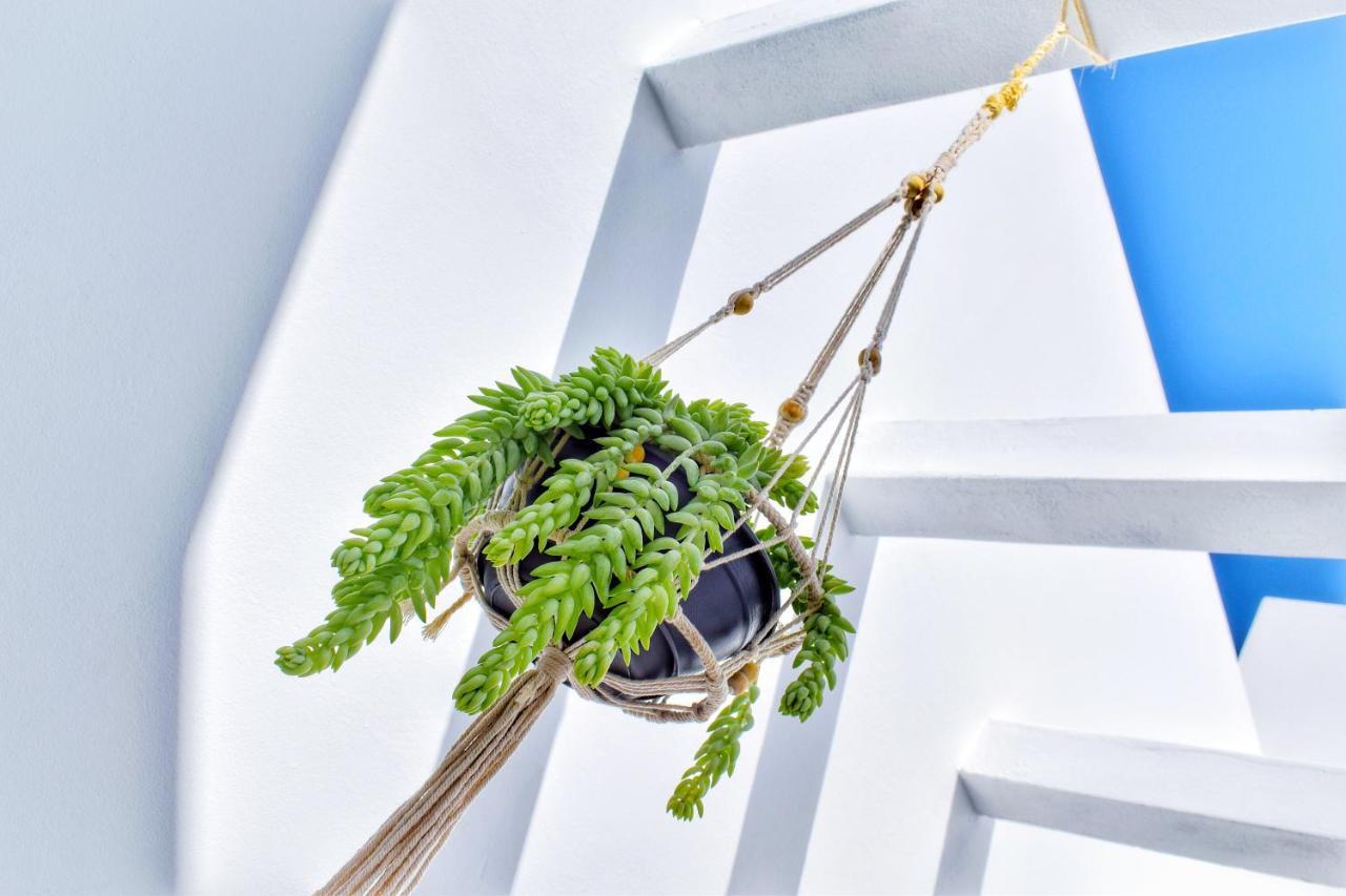 Mana Ecoretreat Las Breñas エクステリア 写真
